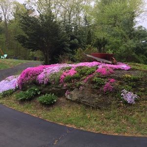 Meet your Posher, Brenda